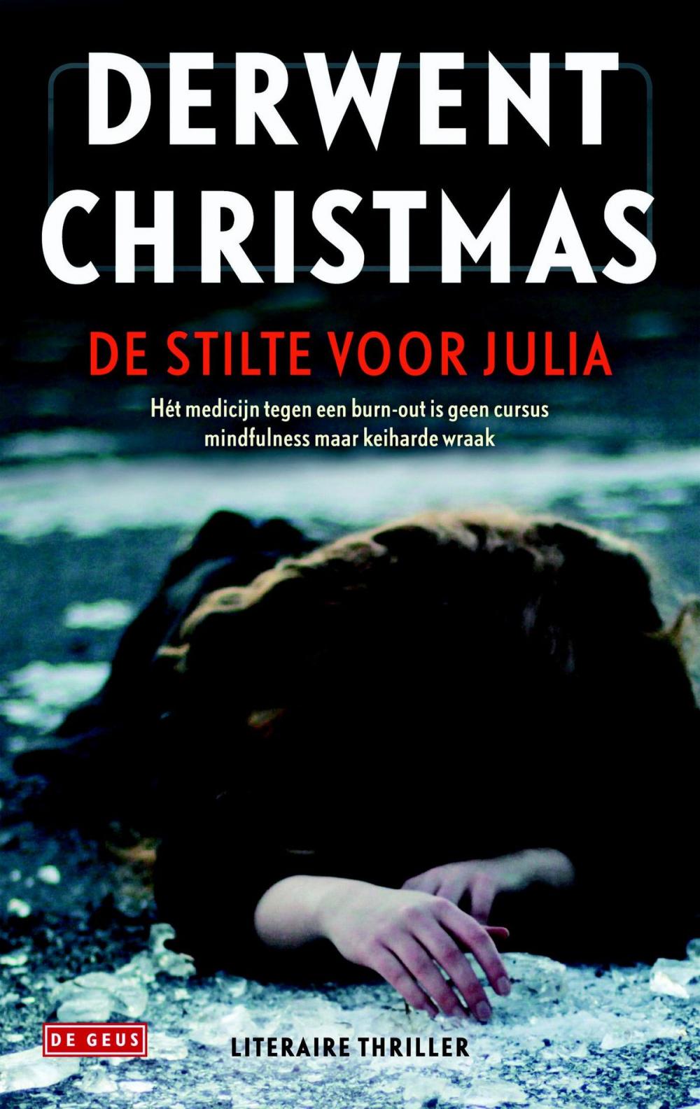 Big bigCover of De stilte voor Julia