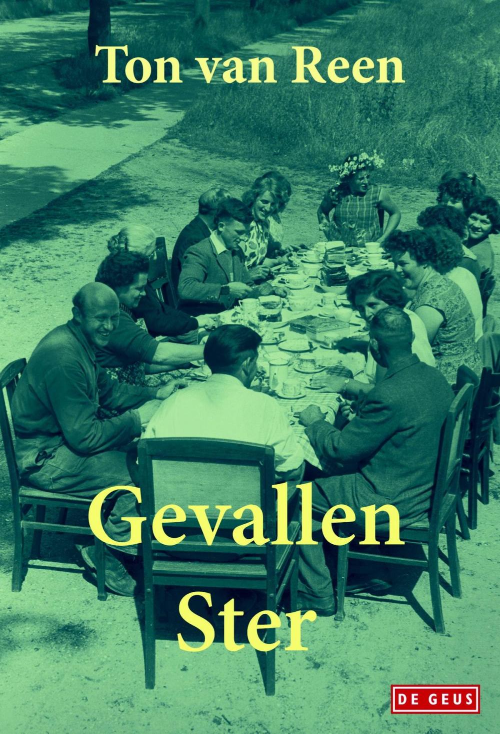 Big bigCover of Gevallen ster