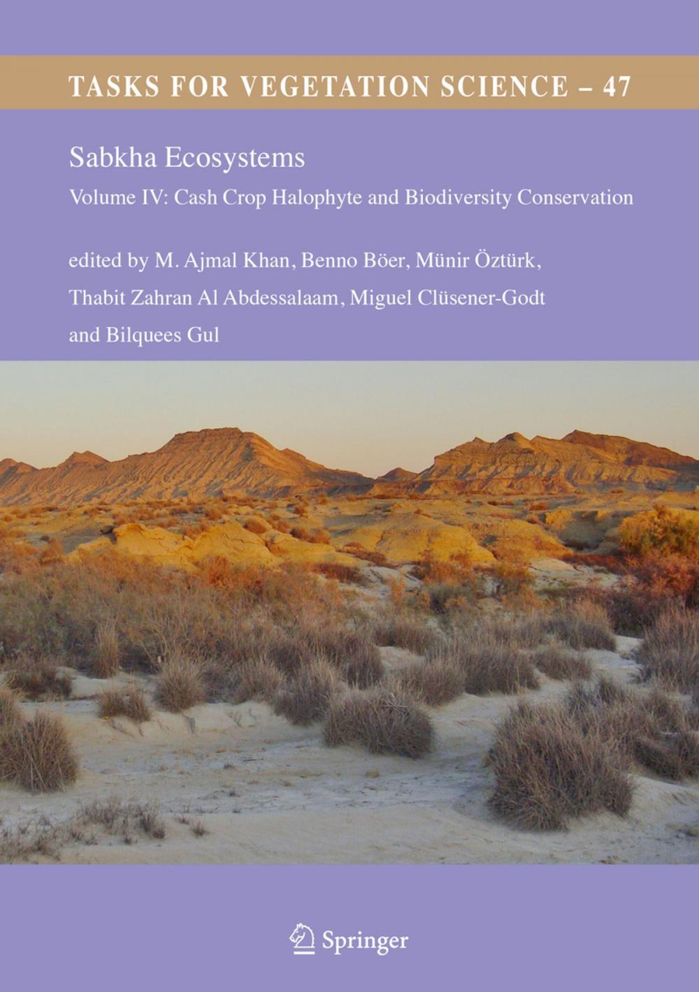 Big bigCover of Sabkha Ecosystems
