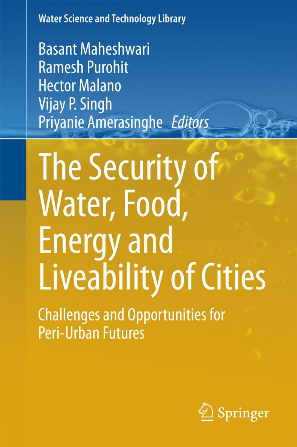 Big bigCover of The Security of Water, Food, Energy and Liveability of Cities