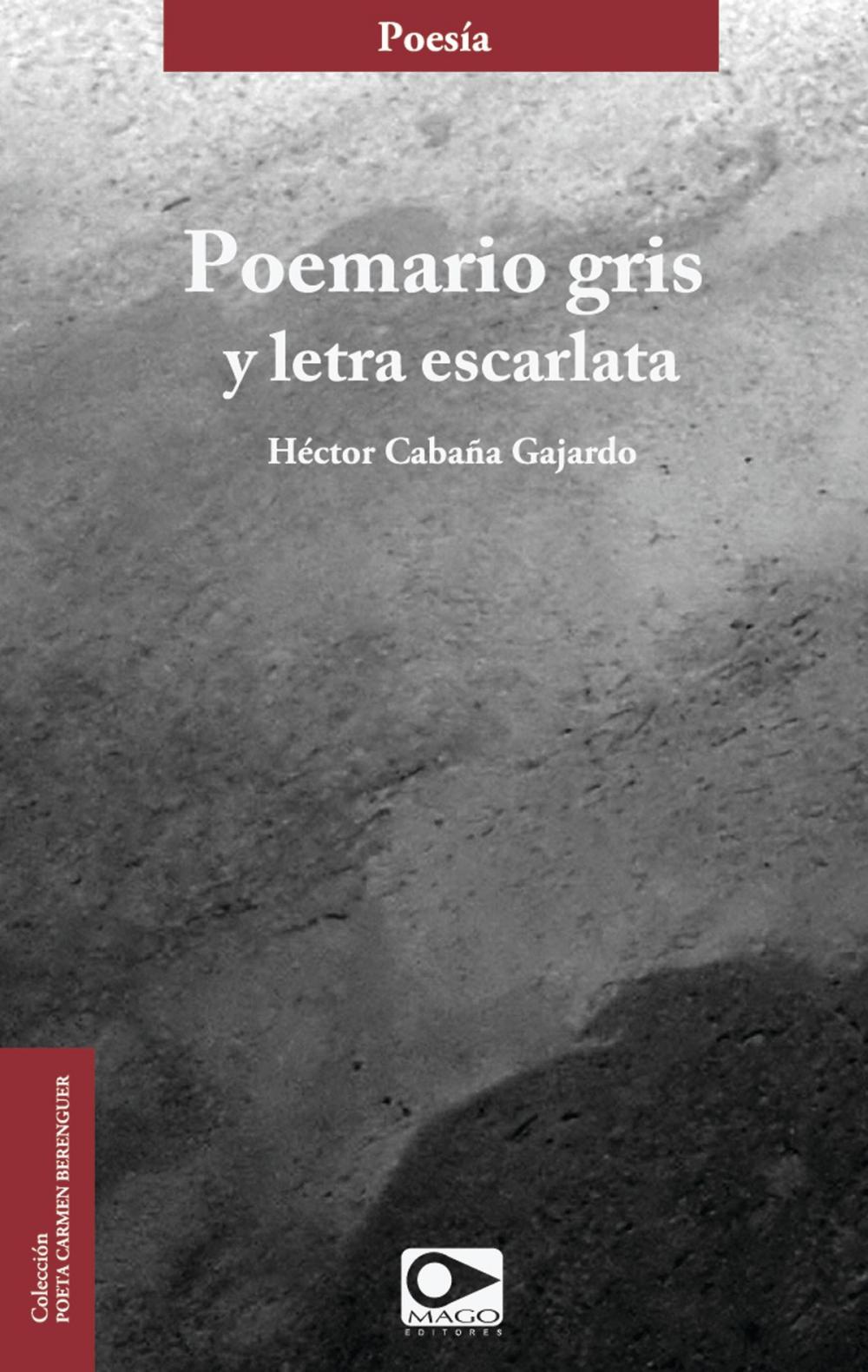 Big bigCover of Poemario gris y letra escarlata