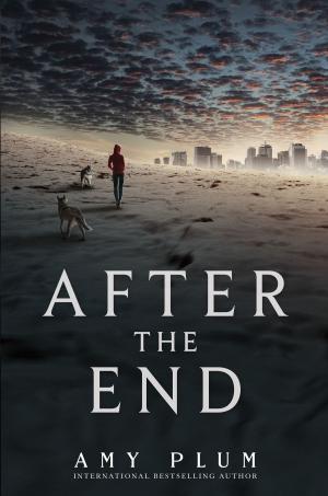 Cover of the book After the End by r.j. amezcua