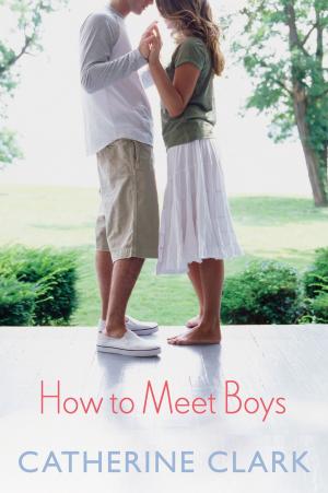 Cover of the book How to Meet Boys by Donna Freitas
