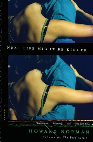 Cover of the book Next Life Might Be Kinder by Emiko Jean