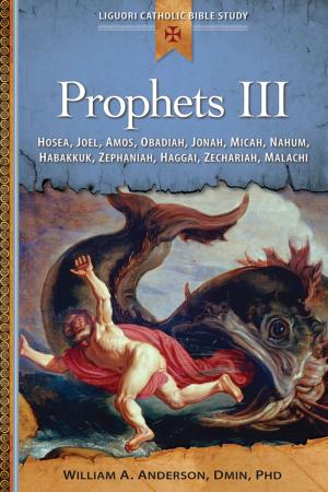 Cover of the book Prophets III by William A Anderson