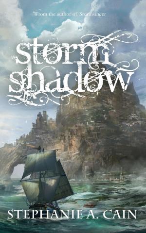 Cover of the book Stormshadow by Darryl Fitzgerald