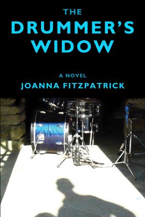 Book cover of The Drummer's Widow