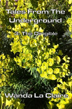 Cover of Tales From The Underground: 3 The Dirgible