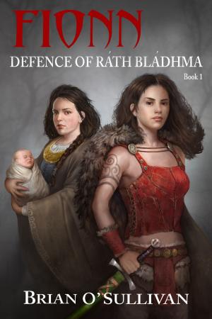 Cover of the book Fionn: Defence of Rath Bladhma by Richard T. Schrader