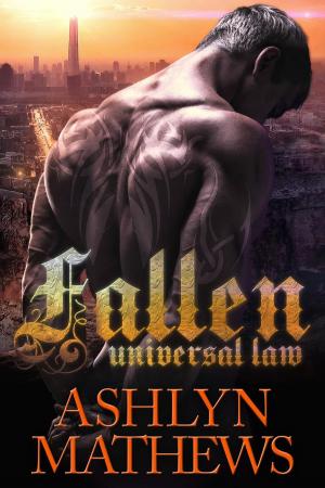 bigCover of the book Fallen: Universal Law by 