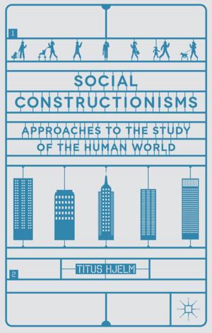 bigCover of the book Social Constructionisms by 