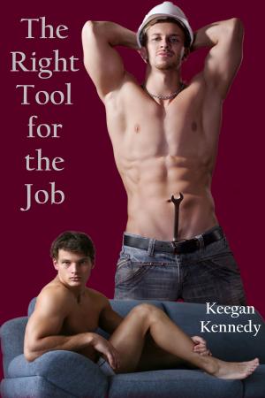 Cover of the book The Right Tool for the Job by Keegan Kennedy, Kevin Ryder