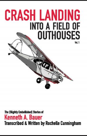 Book cover of Crash Landing into a Field of Outhouses