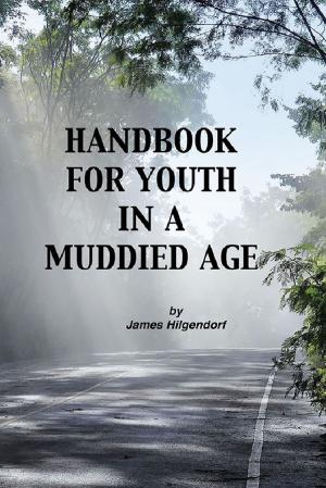 Book cover of Handbook for Youth in a Muddied Age