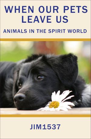 bigCover of the book When Our Pets Leave Us Animals in the Spirit World by 