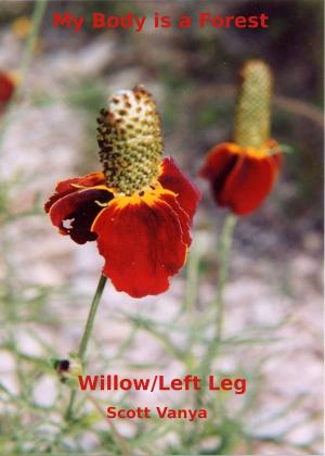 Cover of the book My Body is a Forest-Willow/Left Leg by Don A. Hoyt