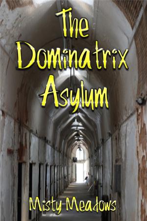 Cover of the book The Dominatrix Asylum (Female Domination, BDSM) by Misty Meadows