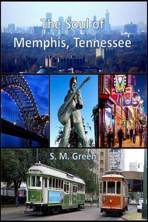 Cover of the book The Soul of Memphis, Tennessee by David Stuart Ryan