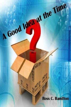 Cover of the book A Good Idea at the Time by Ken Lord