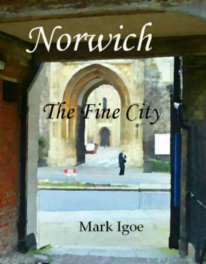 Cover of Norwich: The Fine City
