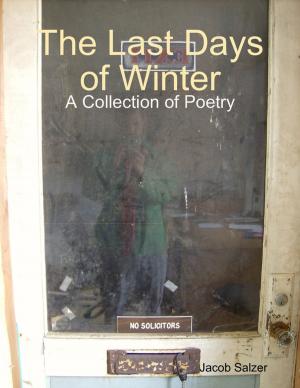 Cover of the book The Last Days of Winter by Chris Twain