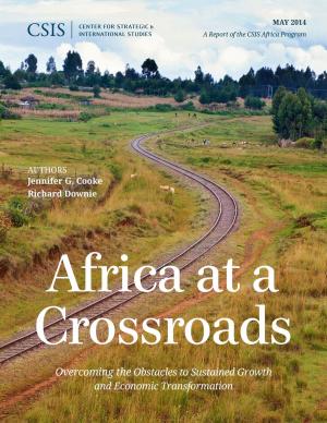 Cover of the book Africa at a Crossroads by Haruko Sugiyama, Ayaka Yamaguchi, Hiromi Murakami