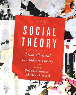 Cover of the book Social Theory, Volume I by Paul A. Erickson, Liam D.  Murphy