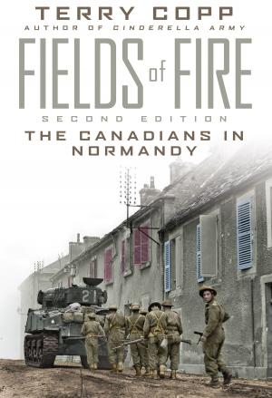 Book cover of Fields of Fire