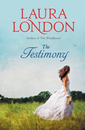 Cover of the book The Testimony by Ethan Hawke