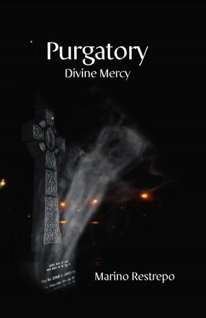 Cover of the book Purgatory: Divine Mercy by B. W. Wrighthard