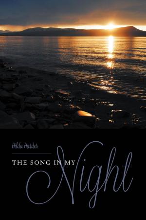 Cover of the book The Song In My Night by E. Ann McIntyre