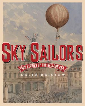 Cover of the book Sky Sailors by Maurene Goo