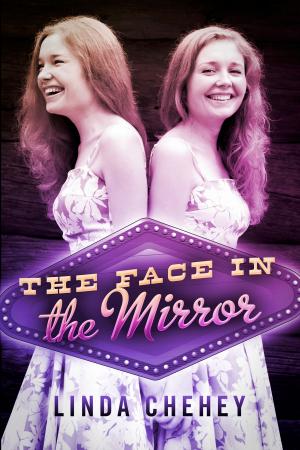 Cover of the book The Face in the Mirror by Sybil Fix