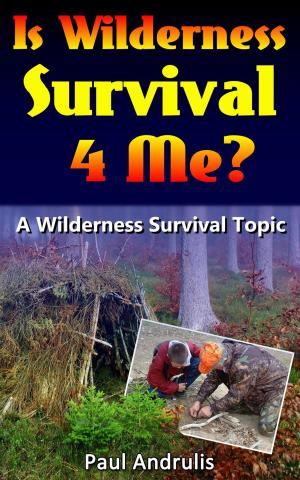 Cover of the book Is Wilderness Survival 4 Me? by Jeff Bach