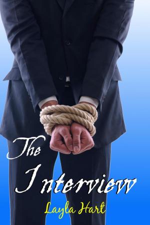 Cover of the book The Interview by Honey Potts