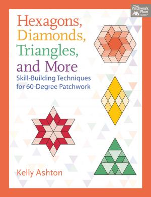 Cover of the book Hexagons, Diamonds, Triangles, and More by Paula Barnes, Mary Ellen Robison