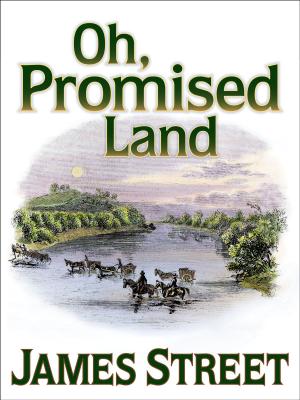 Cover of the book Oh Promised Land by Richard Bissell