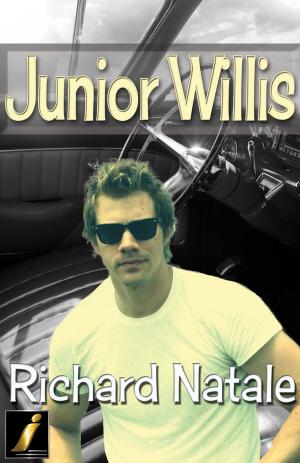 Cover of the book Junior Willis by Robin Summers