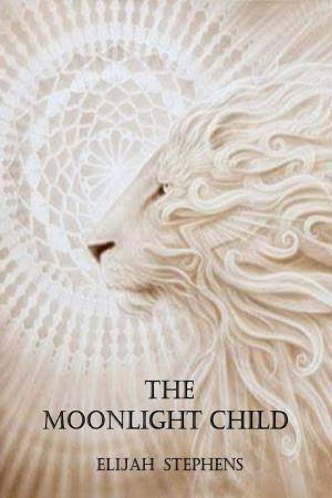 bigCover of the book The Moonlight Child by 