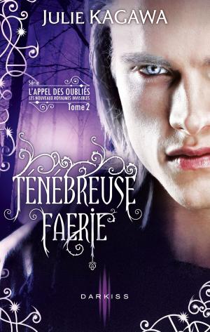Cover of the book Ténébreuse Faérie by Seamus Pilger
