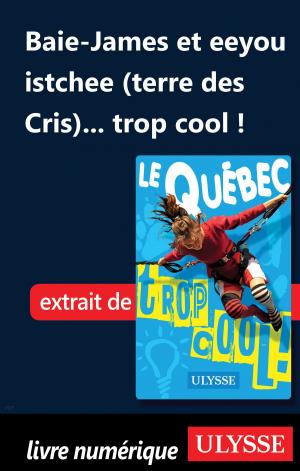 Cover of the book Baie-James et eeyou istchee (terre des Cris)... trop cool ! by Marc Poirel