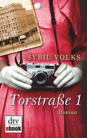 Cover of the book Torstraße 1 by Anu Stohner