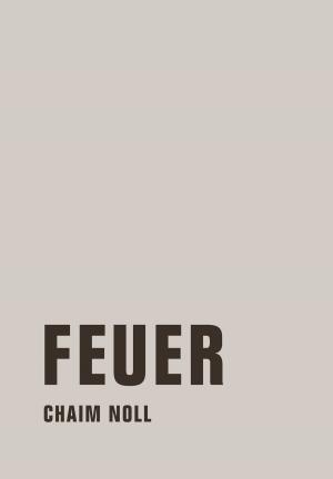 Cover of the book Feuer by Patrick Eiden-Offe, Frank Engster, Detlev Claussen, Bastian Bredtmann, Johannes Rhein, Roger Behrens, Rüdiger Dannemann, Stefan Müller, Veith Selk