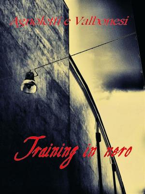 Cover of the book Training in nero by David King