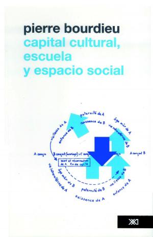 Cover of the book Capital cultural, escuela y espacio by Mariana Canavese