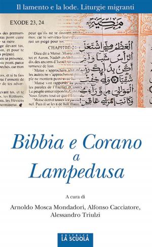 bigCover of the book Bibbia e Corano a Lampedusa by 