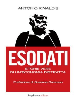 Book cover of Esodati