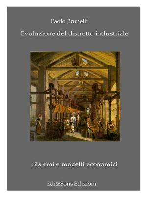 Cover of the book Evoluzione del Distretto Industriale by Don Meyer