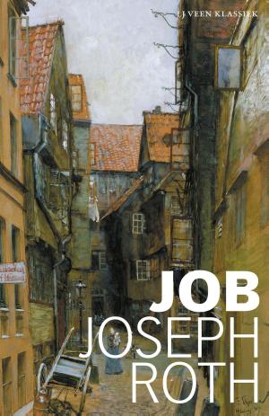 Cover of the book Job by Adriaan van Dis
