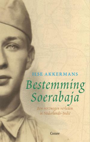 Cover of the book Bestemming Soerabaja by Francesca Melandri
